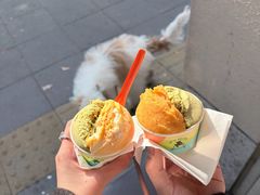-Dip in Gelato(富民路店)