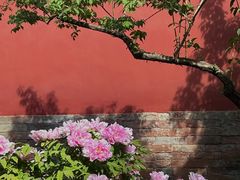 -北京市劳动人民文化宫
