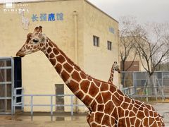-上方山森林动物世界