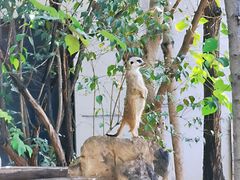 -石家庄市动物园