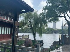 -月湖公园