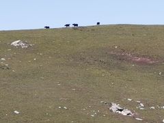 -灵山