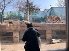 -郑州银基国际旅游度假区