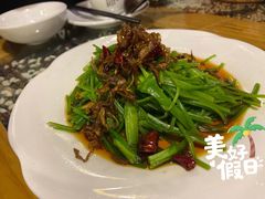 菌香水性杨花-尽善百年古院餐厅(王家老宅店)