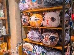 -猫咪博物馆(顶澳仔猫街店)