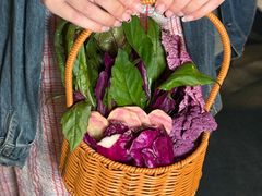 -大头椰·椰子鸡火锅(南宁万象城店)