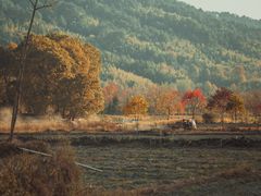 -塔川景区