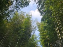 -黄公望隐居地
