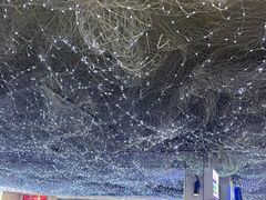 -徐记小怪兽肉蟹煲(中央大街店)