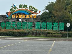 -南京银杏湖乐园