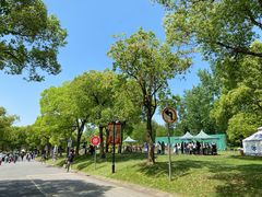 -东方绿舟景区
