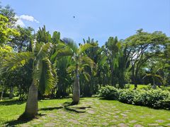 -中国科学院西双版纳热带植物园