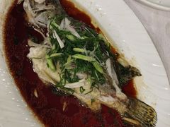 -万年酒楼(越秀南路店)