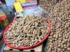 -五里多农博广场