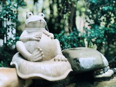 -天目湖涵田半山温泉