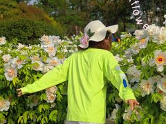 -洛阳市隋唐城遗址植物园