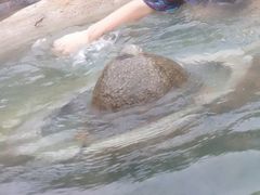 -溧阳天目湖天沐温泉