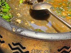 -探鱼·鲜青椒爽麻烤鱼(番禺万达店)
