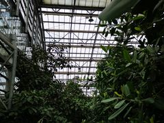 -南山植物园