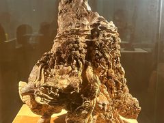 -香市公园-中国沉香文化博物馆