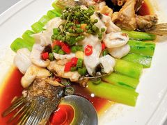 鲜花椒笋壳鱼-南景饭店(万家丽路店)