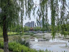 -咸阳湖景区-古渡公园