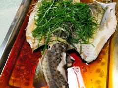 清蒸山坑鲩-叙兴楼(礼东财记农庄分店)