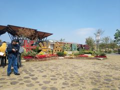 -上海长兴岛郊野公园