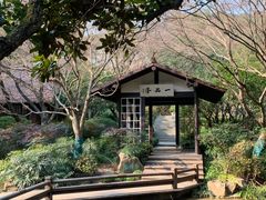 -中国茶叶博物馆(双峰馆区)