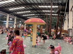 -南宫温泉水世界