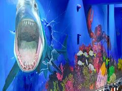 景观位-船奇蒸汽海鲜·闽菜(八市海鲜总店)