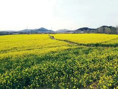 -西海岸生态观光园