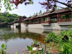 -重庆彩云湖湿地公园