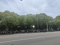 -青枫公园