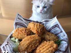 -瞄一喵猫咖(格力海岸店)