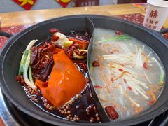 -赵美丽·重庆社区火锅·直营店(火车东站·中豪国际店)