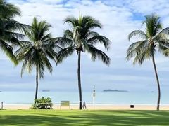 -瑰丽酒店·海吧·天际下午茶·现场DJ·天台酒吧
