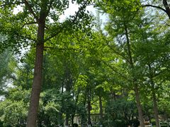 -朝阳公园游乐园