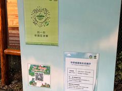 -华侨城湿地公园
