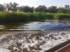 -南大港湿地风景区