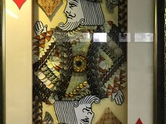 -上海昆虫博物馆