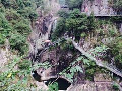 -磐安舞龙峡景区