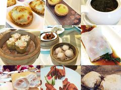 -春满园·早茶·粤菜·宴会(前海店)