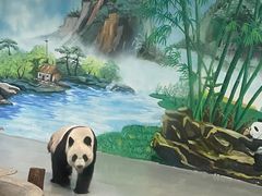 -柳州市动物园