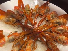 -红盔甲·小龙虾(人民广场店)