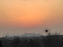 -广富林郊野公园