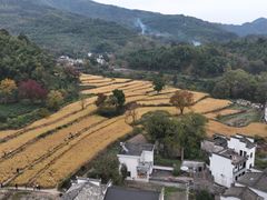 -塔川景区