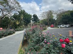 -人民公园(罗湖区)