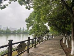 -艾溪湖湿地公园