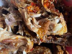 -童子鸡专卖店(中新街店)